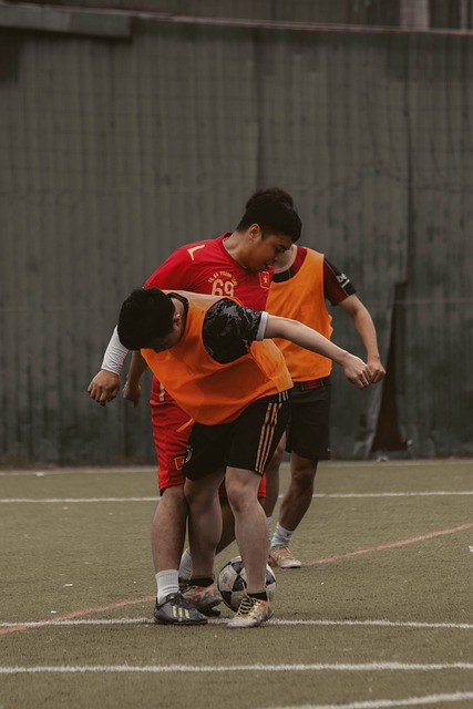 的版图中