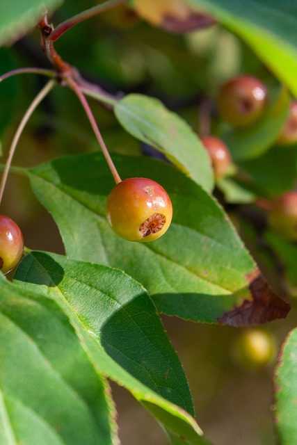到吉尔杰斯 到吉尔杰斯