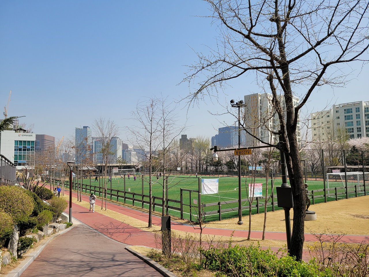 的完美结合 的完美结合