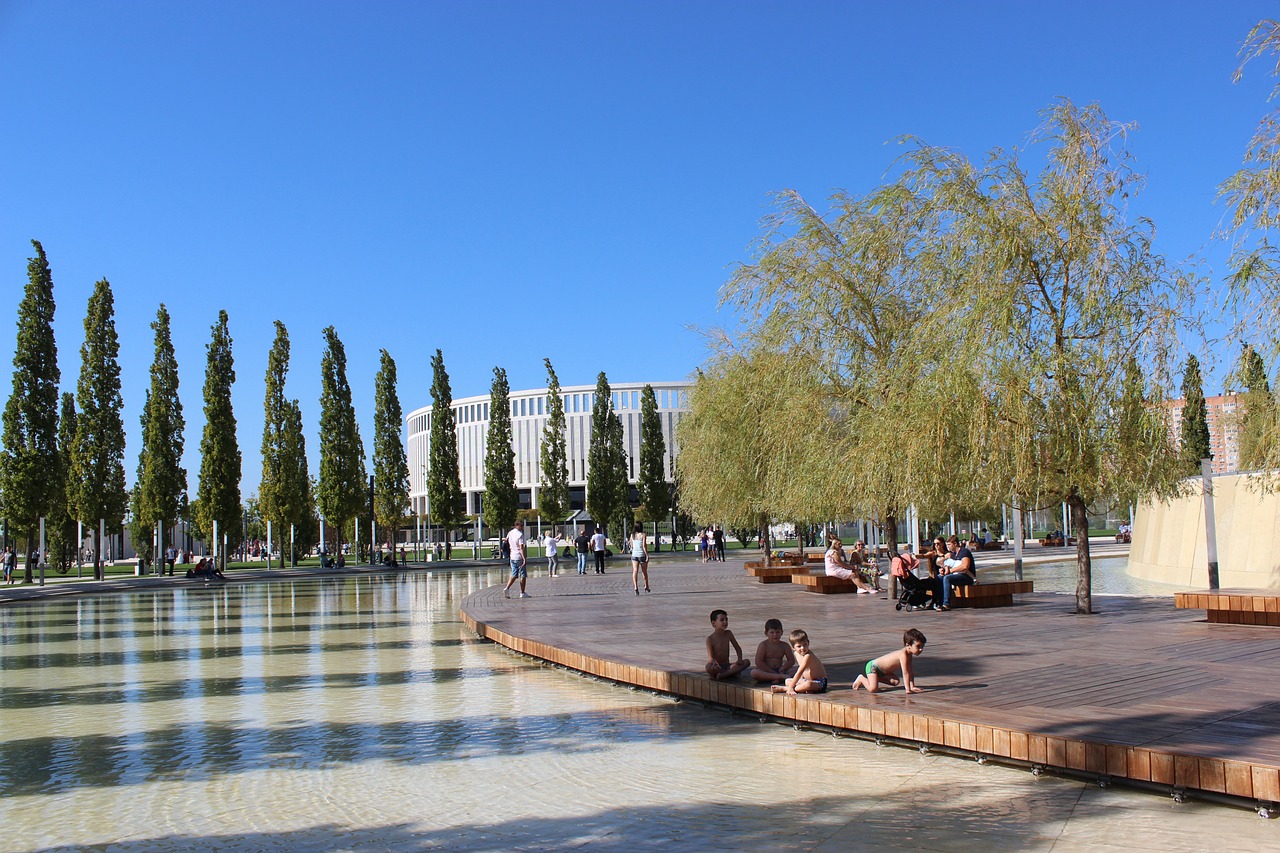 高额的转播 高额的转播