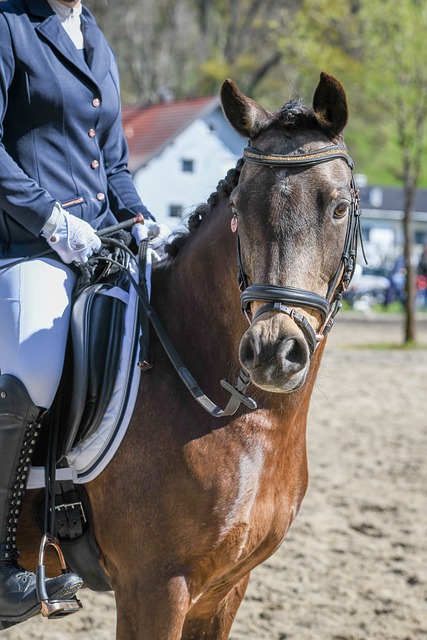 的极大信任 的极大信任