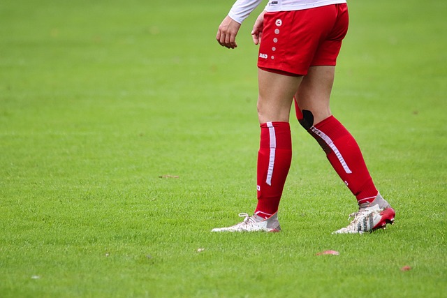 贵州的万物 贵州的万物