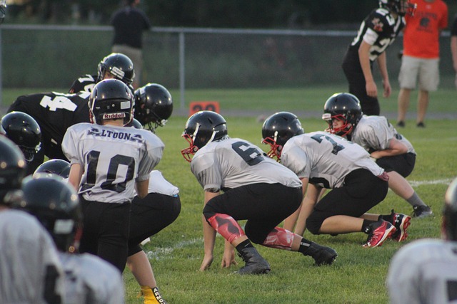 杂的家庭 杂的家庭