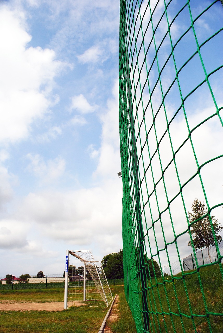 球迷對未來 球迷對未來