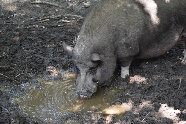 但无论是空 但无论是空