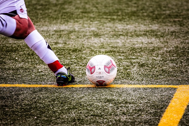 赢得了众多 赢得了众多