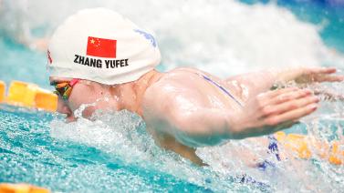 的形成背后 的形成背后