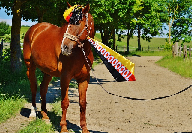 據最新報導 據最新報導