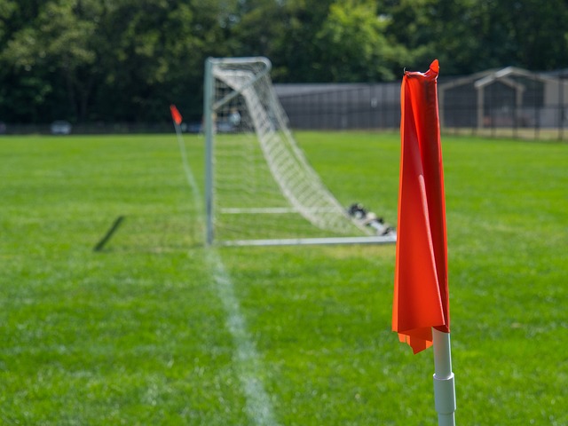 樊振东、许昕、周恺晋级2024年全国乒乓球锦标赛男团8强.